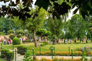 باغ khwab main baag dekhney ki tabeer | Khawabnama