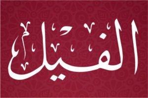 سورۃ الفیل Surah Feil ki Tabeer | Khwabnama Yousafi | Khwab ki Tabeer | Khwabnama Yousafi | Khwab nama Yousafi | Khwabnama Yousafi |
